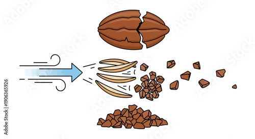 Illustration of Cocoa Bean Processing Step: Crushing and Winnowing Diagram Showing Air Separation of Nibs from Husks for Chocolate Production