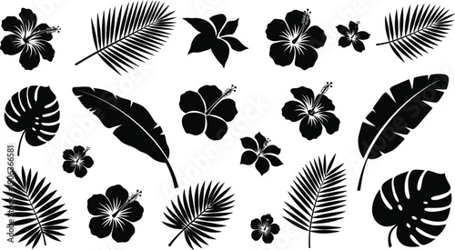Tropical leaf and flower silhouette collection on white background
