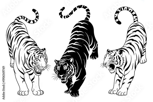 Tiger illustrations set with black line art and solid silhouettes of majestic cats stalking on plain white