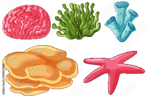 Collection of Colorful Underwater Coral Reef Elements and Starfish Vector Ill...