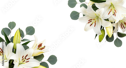 Elegant arrangement of white lilies and eucalyptus leaves in a corner, creating a sophisticated and fresh floral border for designs.