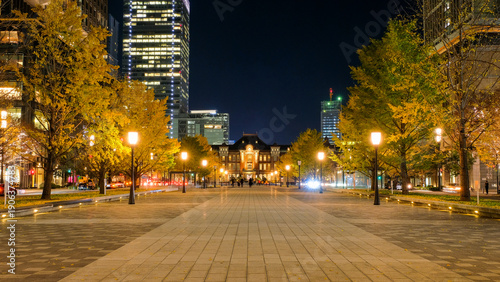 東京駅　行幸通り