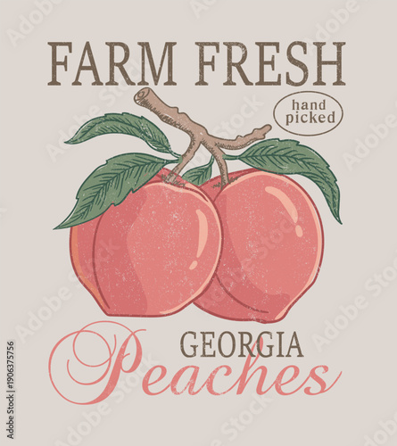 Hand drawn Peach Fruit vintage t-shirt design. Sweet and juicy organic fruit artwork. California Fruit Club, No.1 ,fruit illustration for tee, Apricot poster design.Organic farm. Local market