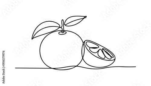 One continuous line illustration of an Clementine fruits, isolated on white background.