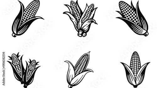 Corn vector icons set in black and white illustration style