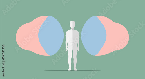 Person standing between two brain hemispheres symbolizing decision making and cognitive function