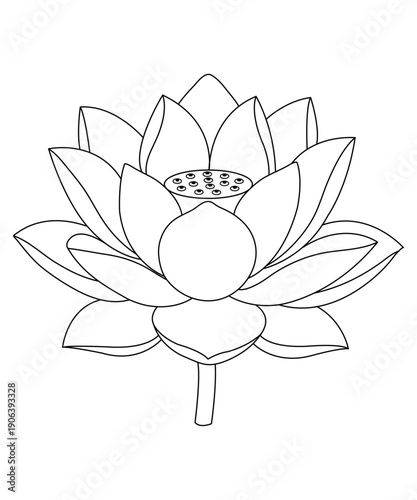 Beautiful Lotus Flower Outline Vector Illustration for Coloring

