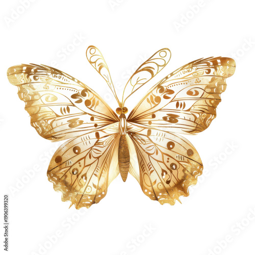 A beautiful golden butterfly with intricate patterns against a black background