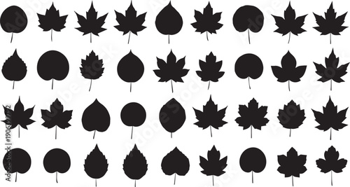 Collection of various leaf shapes and silhouettes