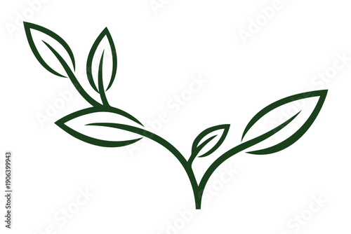 Elegant tea plant leaves vector illustration natural organic healthy drink ingredient symbol