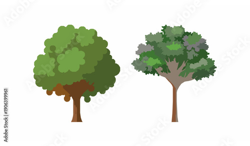 Flat Vector Fruit Tree with Orange Fruits and Purple Blossom Flowering Tree Botanical Illustration on White