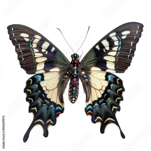 A stunning butterfly with vibrant colors perched gracefully on a surface