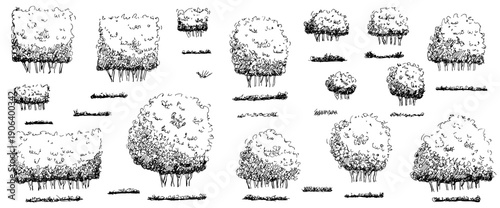 Sketch of tree, shrubbery and hedge bush for garden with shrub grass elements. Park topiary boxwood and plant doodle with illustration silhouette outline. Drawing tree vegetation on transparent bg.