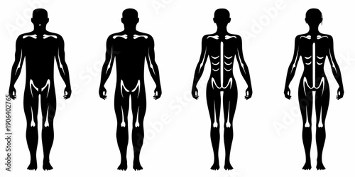 Four silhouetted figures showing progressive muscle development stages