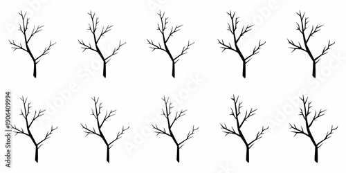 Collection of bare branches against a stark white background