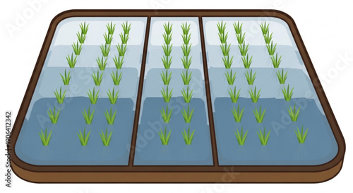 Greenhouse with three compartments containing young plants and seedlings in soil nurturing growth and sustainable agriculture practices