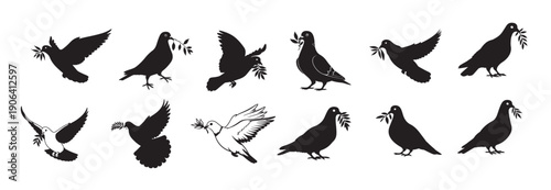 pigeon with branch silhouette white background