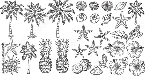 Hand-drawn black and white tropical elements collection including palm trees, starfish, seashells, pineapples, and hibiscus flowers.