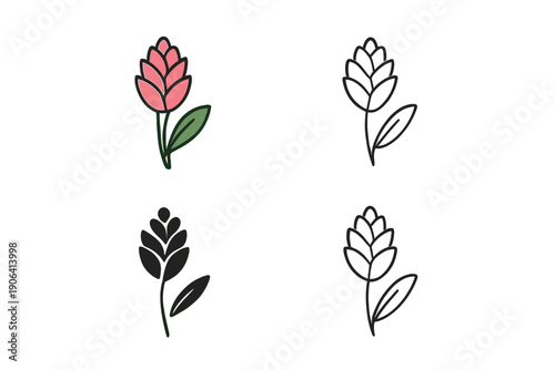 Stylized tropical flower bud graphic icon set with outline, solid, and color variations