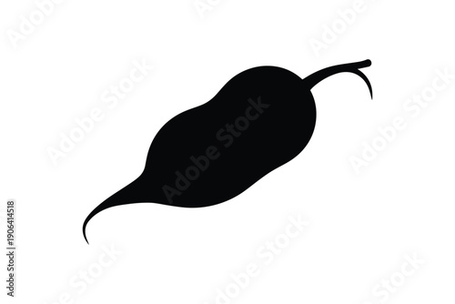 A distinct radish vegetable with a curved tail and root depicted as a clean black silhouette on white