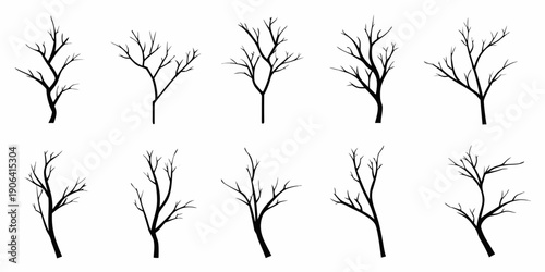 Collection of bare tree branches against a plain white background