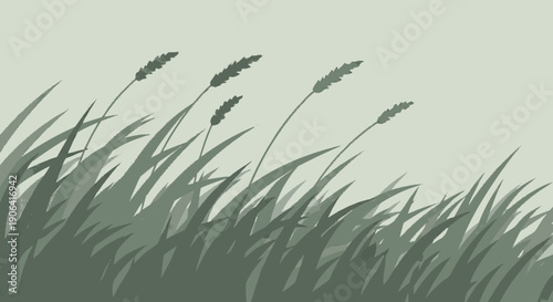 Tall Grass with Seed Heads Illustration.