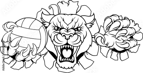 A panther, leopard or couga...
