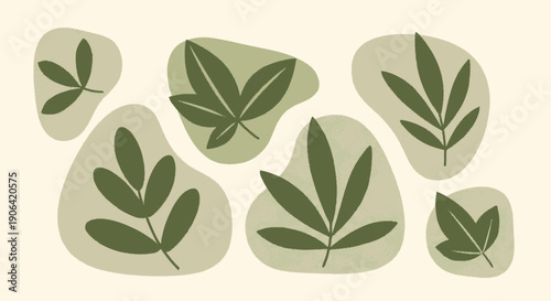 Collection of Green Leaves Illustration.