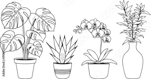 Black and white line of four potted plants line black and white monstera orchid