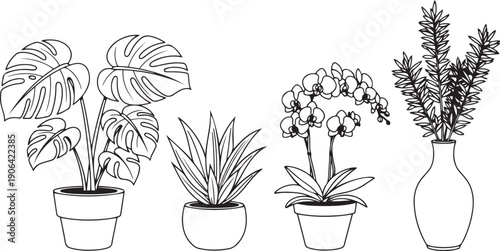 Black and white line of potted plants and a vase with flowers line black and white