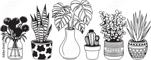 Black and white of various potted plants and a vase cactus monstera flowers