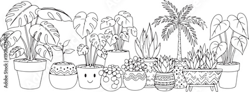 Black and white of various potted plants and succulents line tropical plants houseplants