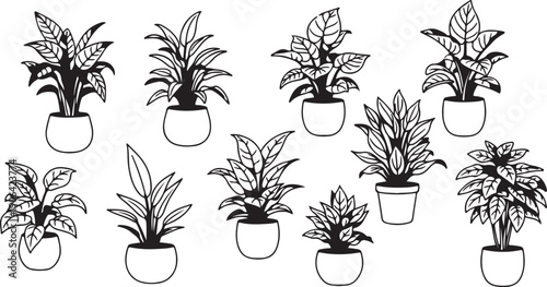 Black and white of various potted plants plant silhouettes leafy plants indoor plants