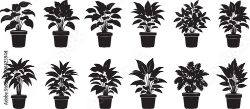Black silhouettes of potted plants on white background