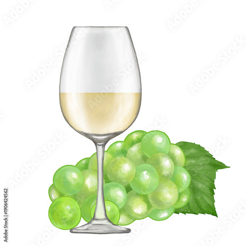 グラスに入った白ワインと葡萄。リアルタッチなイラスト