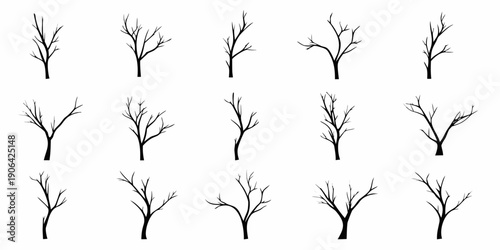 Collection of delicate bare branches against a white background