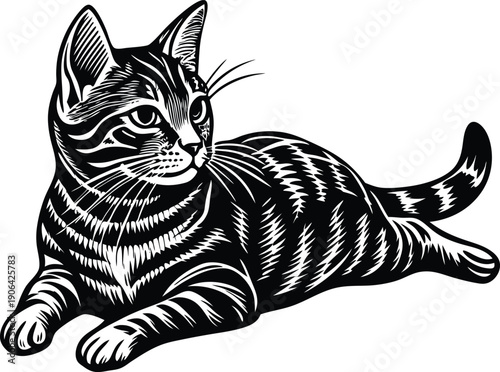 black and white cat vector