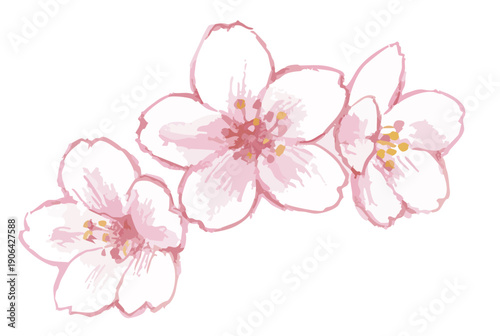 桜のイラスト。ベクターイラスト素材。