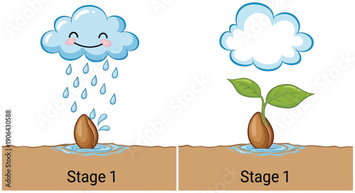 Two stages of a seed sprouting with rain and a happy cloud ideal for graphics on transparent background silhouette high quality