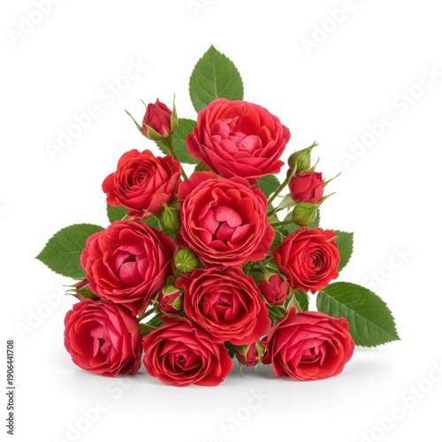 Scarlet Bloom: An exquisite cluster of vibrant red roses, each petal meticulously unfurled, exudes an irresistible allure. Their lush green leaves provide a perfect contrast.