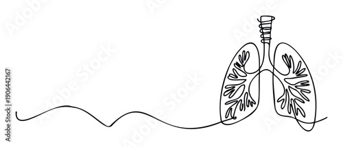 Simple continuous line drawing depicting human respiratory system organs including lungs and trachea, ideal for health education materials, medical presentations, and wellness clinic