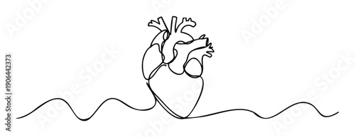 Minimalist one line drawing of a human heart with an electrocardiogram wave representing health and medical concepts perfect for wellness campaigns