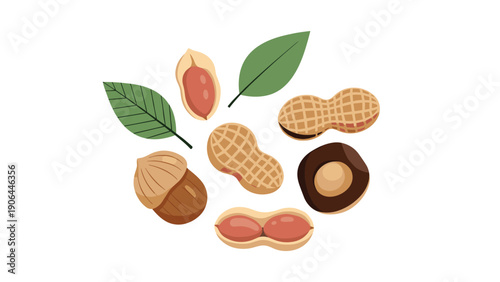 A collection of various nuts and leaves, including peanuts, acorns, and hazelnuts, arranged in a circular design for healthy eating.