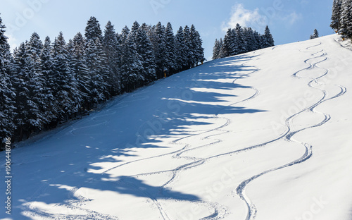 Ski tracks curve gracefully down a snowy slope, Fresh powder shows distinct trail of ski marks from backcountry freeride.
