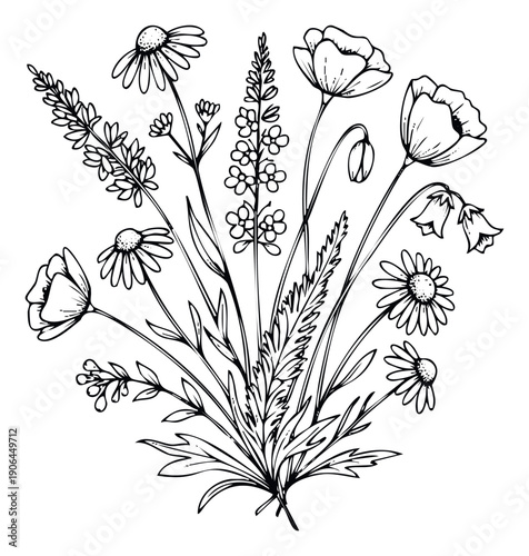 Detailed botanical line drawing of a vibrant wildflower bouquet, ideal for illustrating natural beauty and spring themes in various creative projects.