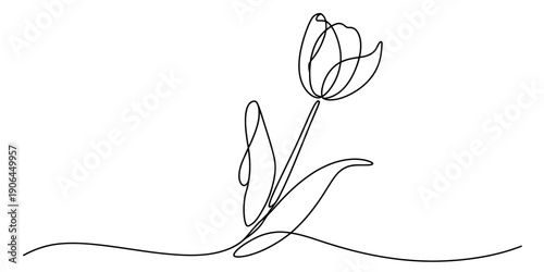 Elegant continuous line art illustration of a single tulip flower with a leaf.