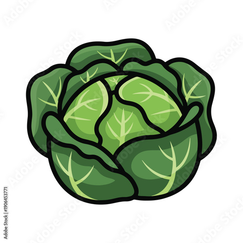 A cartoonish green cabbage with black outline