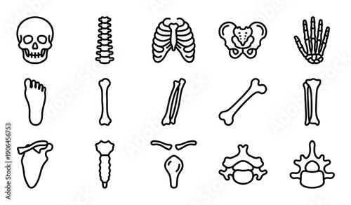 Human bones and skeleton parts icon set featuring the skull, rib cage, spine, pelvis, and limbs, presented as a minimalist black outline illustration for anatomical or medical concepts