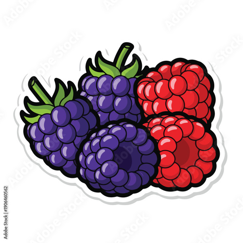 A colorful cartoon illustration of blackberries and raspberries