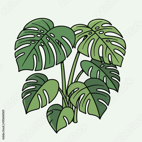 A cartoon illustration of a Monstera deliciosa plant